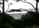 carmel_beach. a view of Ocean and greens. Image copyright(c) 2012